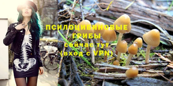 хмурый Карпинск