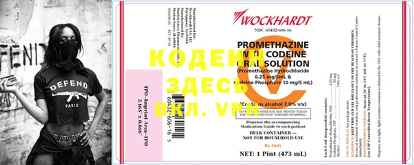 хмурый Карпинск