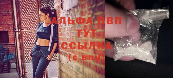 хмурый Карпинск