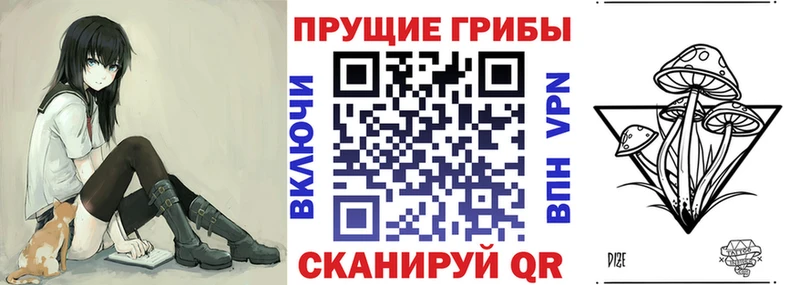Купить  Ивантеевка  Галлюциногенные грибы мицелий 
